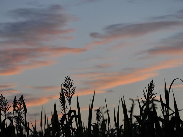 04-Arradon, de Keranna a Bourgerel