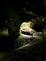 IMG_3398