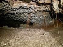 IMG_3407