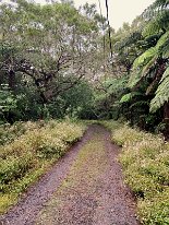 IMG_3510