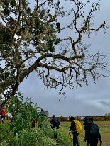 IMG_3516
