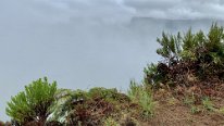 IMG_3517