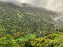 IMG_3557
