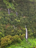 IMG_3560