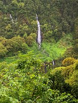 IMG_3561