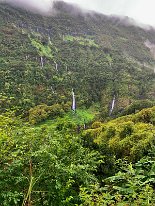 IMG_3562