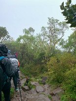 IMG_3569