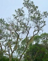 IMG_3570