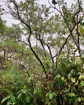 IMG_3571