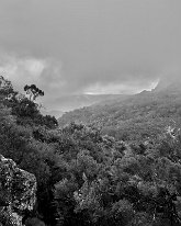 IMG_3572 (1)