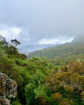 IMG_3572