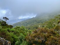 IMG_3573