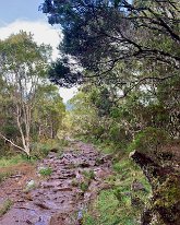 IMG_3580