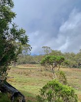 IMG_3584
