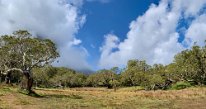 IMG_3586-3587