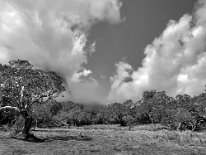 IMG_3588