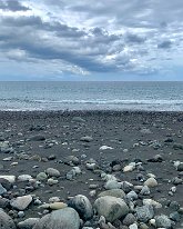 IMG_3724