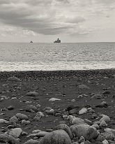 IMG_3726 (1)