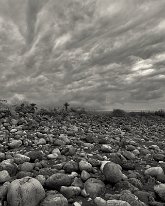 IMG_3727 (1)