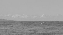 R6OL2768