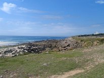 IMG_1395