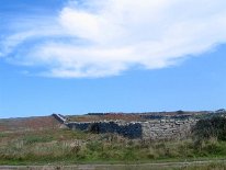 IMG_1398