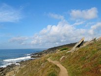 IMG_1409