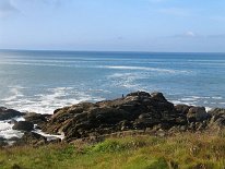 IMG_1410-1