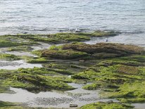IMG_1464-1