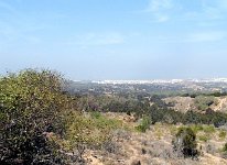 IMG_4134