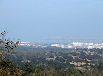 IMG_4135