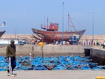 IMG_4140