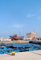 IMG_4141