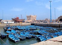 IMG_4142