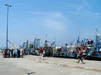 IMG_4144