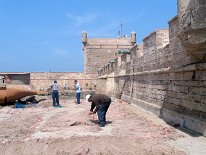 IMG_4147