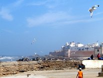 IMG_4148