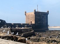 IMG_4149