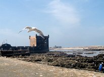 IMG_4150
