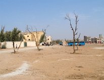 IMG_4041