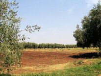 IMG_4053