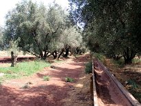 IMG_4054