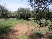 IMG_4056
