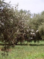 IMG_4057