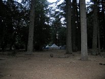 IMG_3771