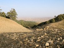 IMG_3772