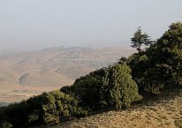 IMG_3774