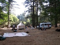 IMG_3782