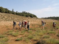 IMG_3783