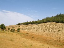IMG_3786